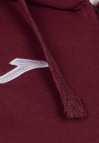 Bordeaux hoodie van een gestructureerde stof, met een witte geborduurde logo en trekkoord detail. Het materiaal lijkt zacht en duurzaam.