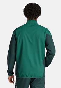 Groene jas met hoge kraag, gemaakt van licht, gestructureerd materiaal. Heeft contrasterende donkergroene mouwen en een relaxte pasvorm.
