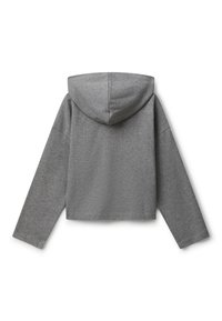 Felpa cropped grigia a maniche lunghe con una vestibilità rilassata e retro semplice, stesa su uno sfondo bianco.
