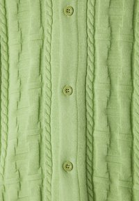 Cardigan lavorato a maglia verde chiaro con motivi a treccia testurizzati e cinque bottoni. Tessuto morbido con lucentezza sottile e sezioni a coste ben definite.