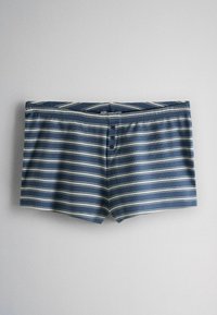 Blue and white striped swim trunks with a buttoned front waistband on a plain light gray background.