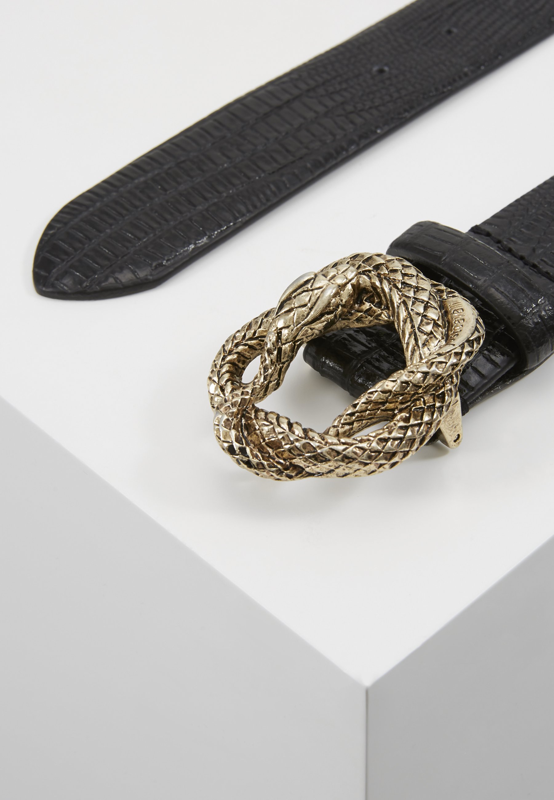 paradiso assoluto cavalli