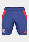 OLYMPIQUE LYON TRAINING SHORT - Pantaloncini sportivi - midnight indigo/bright red/white tint
