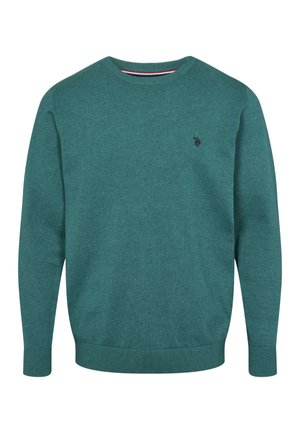 Zeleni pulover iz mehke tkanine, z rebrastim izrezom in manšetami ter majhnim logotipom na prsih. Klasičen kroj z dolgimi rokavi.