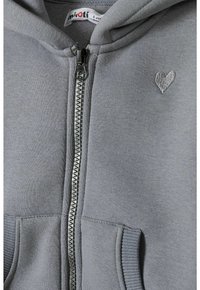 Pilkas užtrauktukas hoodie, pagamintas iš minkštos medžiagos su sidabriniu užtrauktuku. Turi dvi priekinės kišenes ir mažą išsiuvinėtą širdelės detalę.