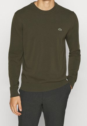 Mężczyzna ubrany w oliwkowo-zielony sweter z długim rękawem z małym logo krokodyla na piersi oraz ciemnoszare spodnie.