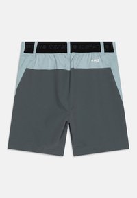 Kaksiväriset aktiivisuhtiset shortsit tummanharmaana ja vaaleanharmaana, mustalla joustavalla vyötäröllä, jossa on "ICEPEAK"-brändi ja "A.W.S. ACTIVE" -logo takana.