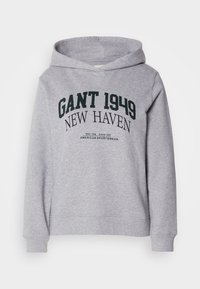 ARCH PRINT HOODIE - Sweat à capuche - grey melange