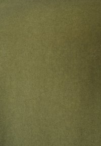 Στερεό ελαιόχρωμο ύφασμα με μαλακή, ελαφρώς υφή επιφάνεια που καλύπτει ολόκληρο το πλαίσιο.