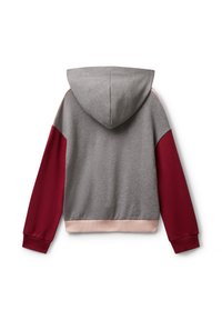 Felpa con cappuccio, corpo grigio, maniche lunghe bordeaux e rifiniture rosa chiaro sui polsini e sul bordo, vista da dietro.