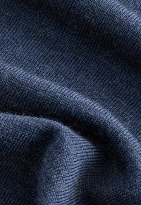 Next REGULAR FIT SIGNATURE - Bluză de molton - blue
