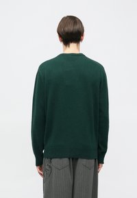 Tumši zaļš adīts džemperis ar apaļu kakla izgriezumu, garām piedurknēm un ribotu apakšmalu. Gluda tekstūra, minimāls dizains, bez redzamām rakstu.