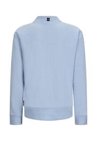 Maglione a maniche lunghe di colore blu chiaro con colletto e polsini a coste. Tessuto morbido, design casual e un piccolo etichetta con logo sul retro.
