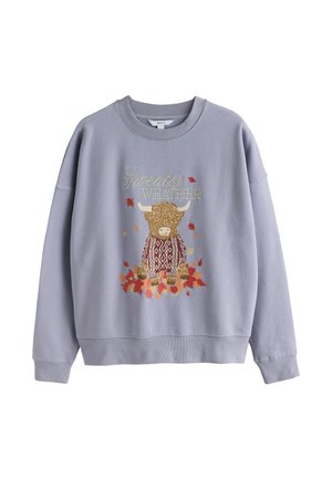 Next, HAMISH AUTUMNAL GRAPHIC SWEATSHIRT - Sweatshirt - blue