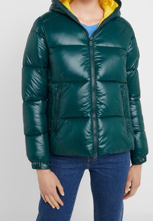 Persoon draagt een donkergroene glanzende gewatteerde jas met gele capuchonvoering, een blauw shirt en een blauwe spijkerbroek, staand tegen een effen achtergrond.