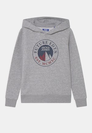 Grey sweatshirt with a hood, featuring a round logo print in dark blue and red. Made of soft, textured fabric with ribbed cuffs and hem.