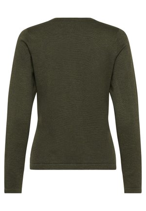 Olivově zelený svetr s dlouhými rukávy, hladká pletená textura, kulatý výstřih, přiléhavý střih bez viditelných ozdob, jednoduchý a klasický silueta.
