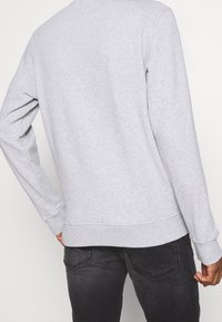 Grå sweatshirt med långa ärmar, rund halsringning och ribbade muddarna. Tyget verkar mjukt och är tillverkat av en blandning av bomull.