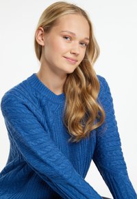 Maglione blu lavorato a maglia con motivo testurizzato, caratterizzato da un colletto e maniche a costine, indossato da un modello con capelli biondi ondulati.
