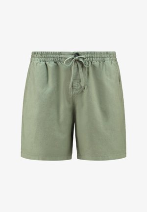 Pantaloni corti verde chiaro realizzati in morbido tessuto, dotati di vita elastica, chiusura con cordoncino e tasche laterali. Design semplice senza motivi.