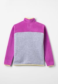 Burton Felpa in pile - grey