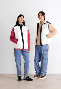 Tommy Jeans BADGE VEST UNISEX - Liemenė - ancient white