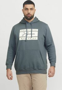 Grijze katoenen hoodie met een voorzak, verstelbare trekkoord capuchon en een witte graphic print op de borst. Geribbelde mouwen en zoom.