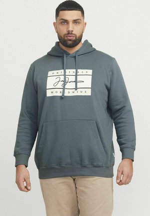 Grijze katoenen hoodie met een voorzak, verstelbare trekkoord capuchon en een witte graphic print op de borst. Geribbelde mouwen en zoom.