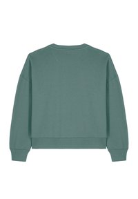 Groene katoenen sweatshirt, ronde hals, lange mouwen, geribbelde boorden en zoom, effen kleur, zachte textuur, relaxte fit, achteraanzicht.