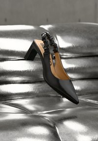 Δεν επιλέχθηκε, shiny black