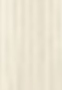 Tissu beige uni avec de subtiles rayures verticales, texture lisse et légère variation de couleur.