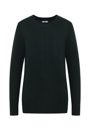 Dunkelgrüner Strickpullover mit Rundhalsausschnitt und langen Ärmeln. Mit gerippten Bündchen und Saum, sowie einer dezenten vertikalen Nahtdetails.