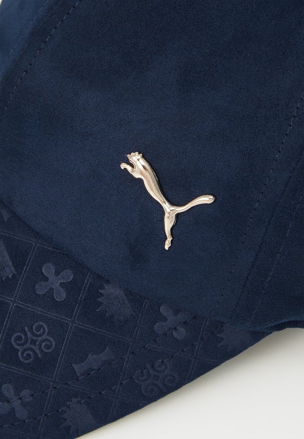 ROAD TO UNITY UNISEX - Cap3