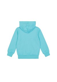 Felpa azzurro chiaro con una consistenza morbida, dotata di una tasca a marsupio frontale, polsini a costine e cappuccio regolabile con lacci.