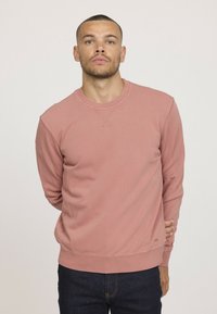 Sweatshirt en tissu doux couleur rose poudré ; col rond, manches longues, poignets et ourlet côtelés, avec de subtils détails de couture.