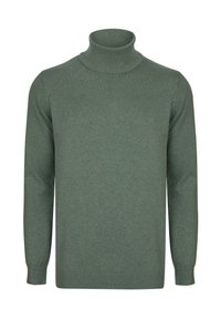 Grüner Rollkragenpullover aus weichem Stoff mit geripptem Kragen und Bündchen, langärmlig und mit lockerem Schnitt.