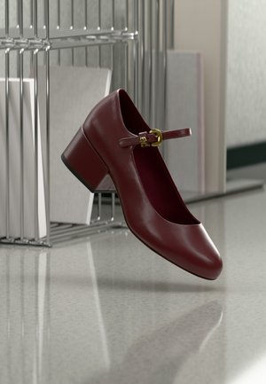 Dunkelroter Mary-Jane-Schuh aus Leder mit Blockabsatz und goldener Schnalle, der auf einer reflektierenden Oberfläche neben einem Metall- und weißen Datei-Organizer liegt.