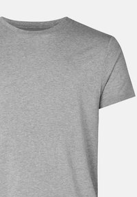 Graues Baumwoll-T-Shirt mit Rundhalsausschnitt, kurzen Ärmeln, glatter Textur und leichtem Stoff. Kein sichtbares Muster oder Akzente.