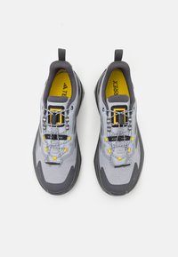 Adidas Terrex TERREX TRAILMAKER 2 GORE-TEX X NATGEO - Fjellsko - halo silver/grey four/grey six