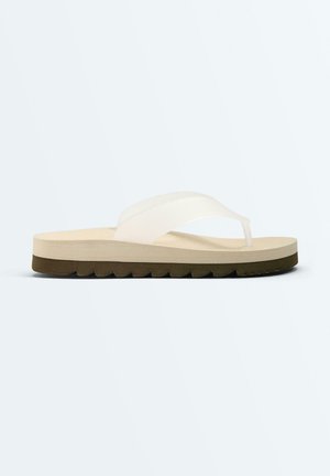 OYSHO CHUNKY FLIP FLOPS - Papuci plajă - beige