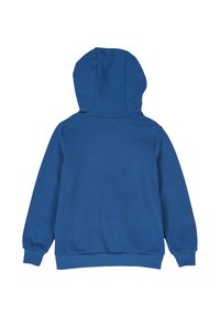 Felpa blu uniforme con cappuccio vista da dietro, dotata di maniche lunghe e polsini e fondo a coste.