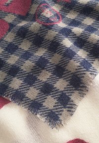 Sciarpa di lana con un motivo a scacchi blu e crema, con bordi sfilacciati e una consistenza morbida; dettagli rosa in un design floreale.