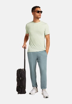 STRIPE - Print T-shirt - ashen mint s