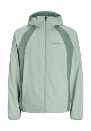 Šviesiai žalia striukė su gobtuvu, turinti užtrauktuką priekyje, raglan rankovėmis ir kontrastingomis tamsesnių žalių juostelėmis šonuose. Lengvas audinys.