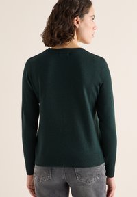Grüner Pullover mit rundem Ausschnitt, gerippten Bündchen und Saum sowie einer weichen Textur, von hinten vor einem neutralen Hintergrund gezeigt.