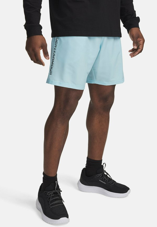 TECH WORDMARK - Sports shorts - stream