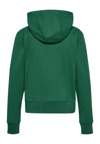 Sweat à capuche vert avec une texture lisse, manches longues et taille ajustée. Comprend une capuche et des poignets côtelés. Aucun motif ou accent visible.