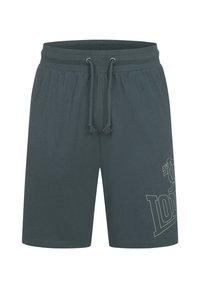 Herre grå bomulds shorts med elastisk talje, snor og et lys farvet grafisk design på venstre ben.