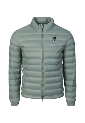 Light green padded jacket with stand collar, front zipper, elastic cuffs, and small black label on chest and sleeve.