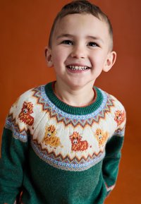 Adīts džemperis ar zaļu ķermeni un krēmkrāsas yoku, kas izrotāts ar krāsainiem suņu motīviem. Apaļa apkakle, ribota piedurkņu un apakšmalas detaļa.